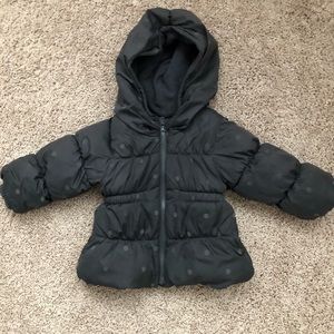 Toddler Puffy Jacket